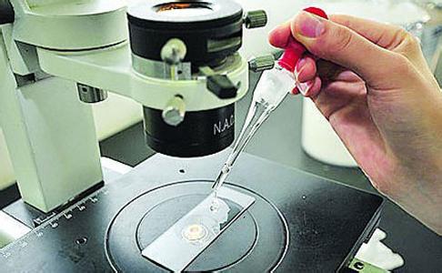 二維色譜、基因測序儀等儀器項目獲豫科技發(fā)展專項資金支持