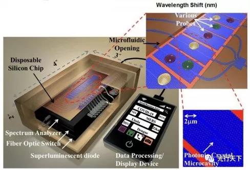 光學技術(shù)提供快速、高效的COVID-19檢測